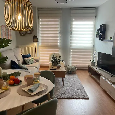 Historico. Arco San Esteban Burgo