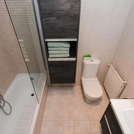 Historico. Arco San Esteban * Burgo