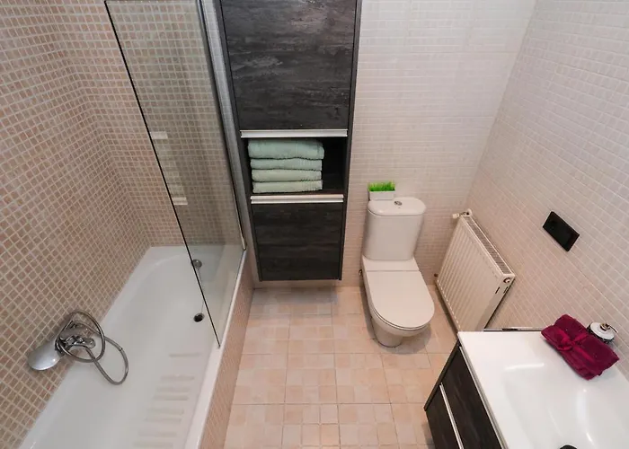 Historico. Arco San Esteban * Burgo